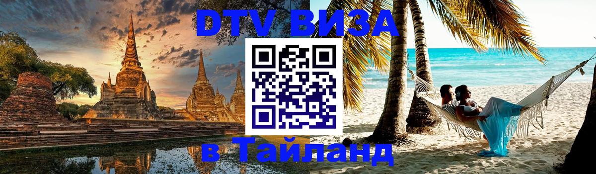 Оформление DTV визы под ключ: стоимость и тарифы, только загранпаспорт - 